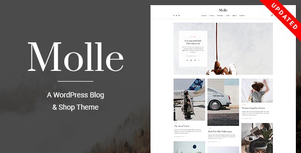 Molle - A Responsive Blog & Shop WordPress Theme